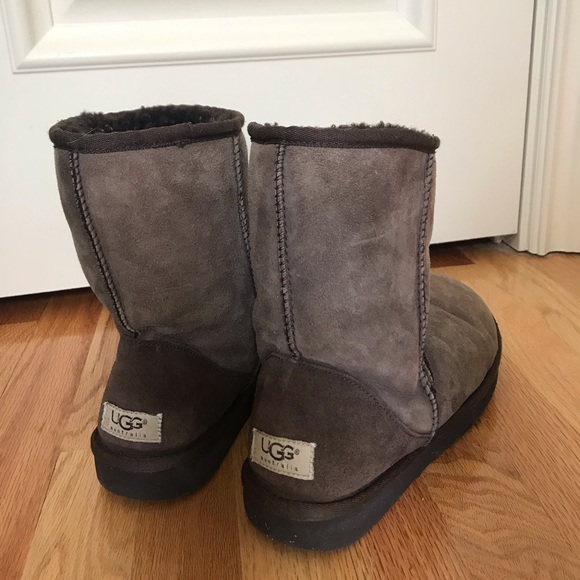 Classic style short brown Uggs - Picture 1 of 3